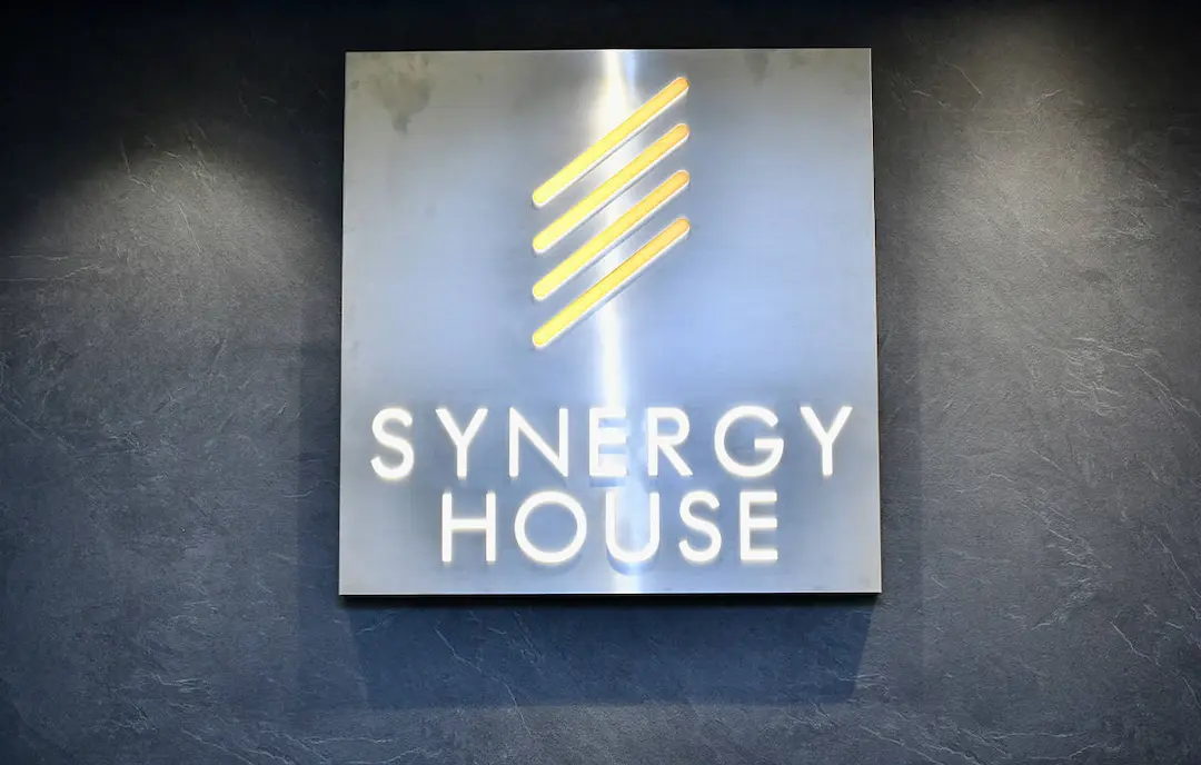 Synergy-House